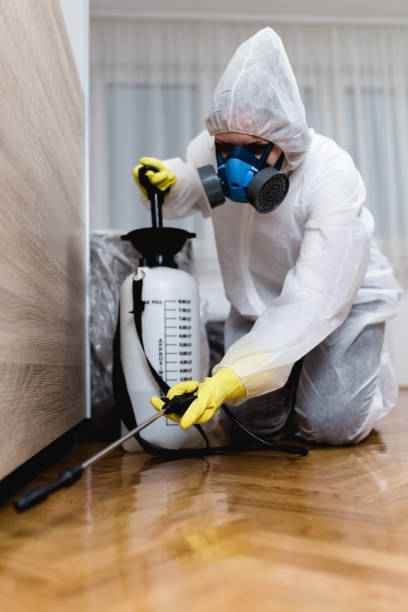 Best Pest Prevention Services  in Talluh, LA